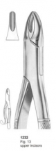  Fig. 13 upper incisors 